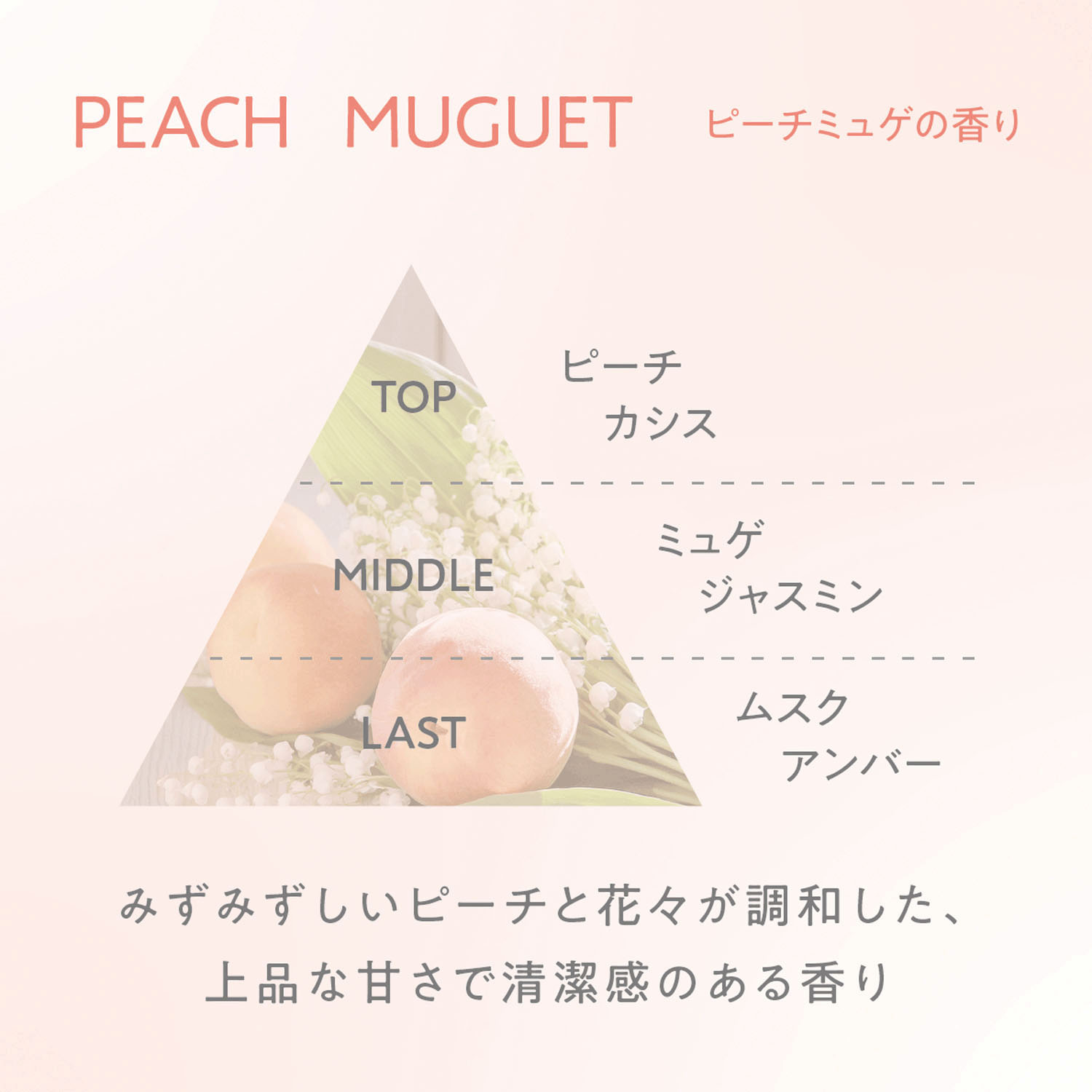 COHARUスタイリングオイル＜ナチュラル＆ライトウェット＞ - 画像7