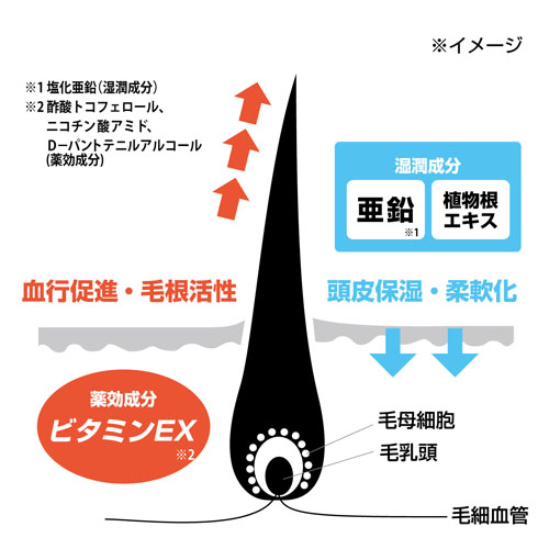 薬用育毛 Re・GO（リゴウ） 発毛促進剤 - 画像9