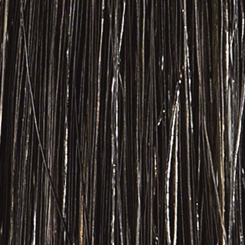 Mottoボタニカラーシャンプー  ダークブラウン ポンプ式 300mL - 画像2