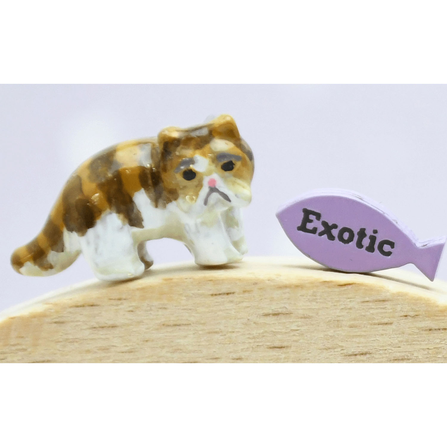 elioピアス エキゾチックショートヘア