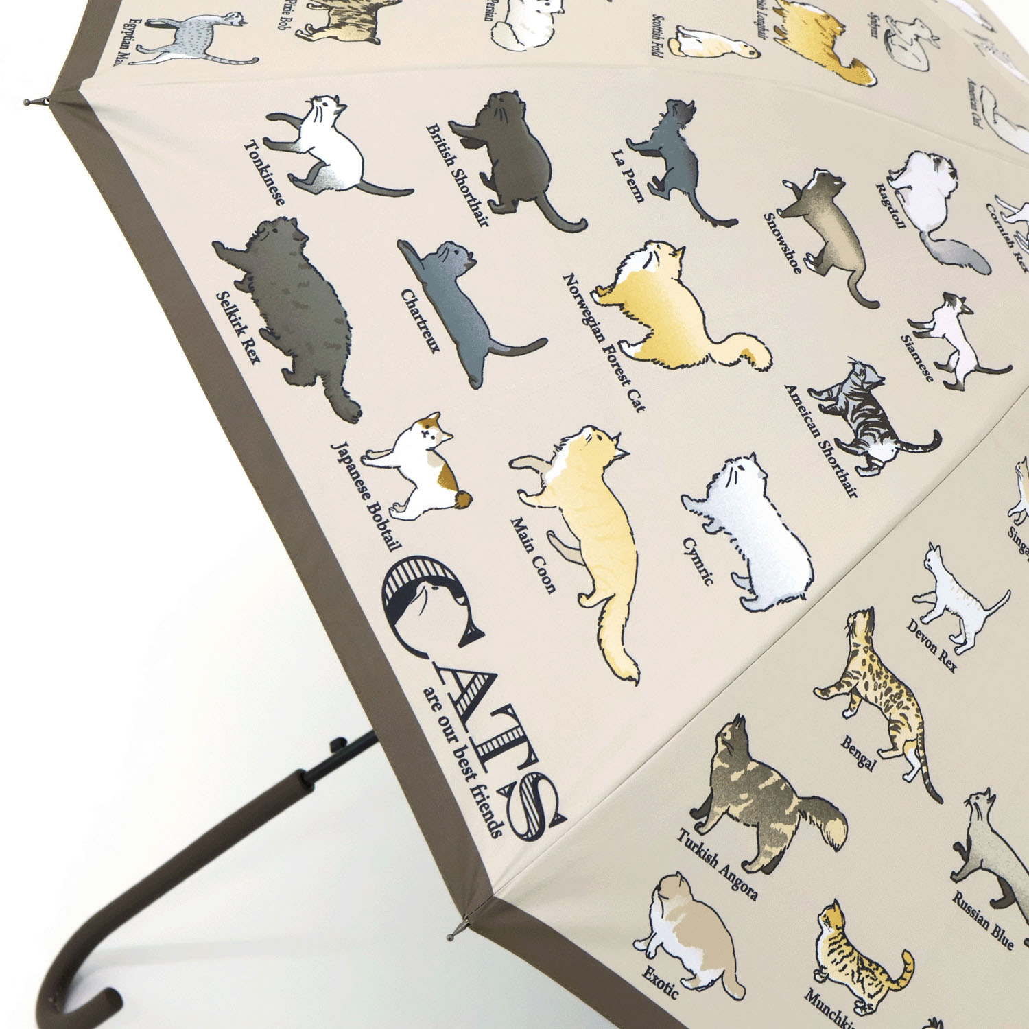 傘 猫図鑑 - 画像5