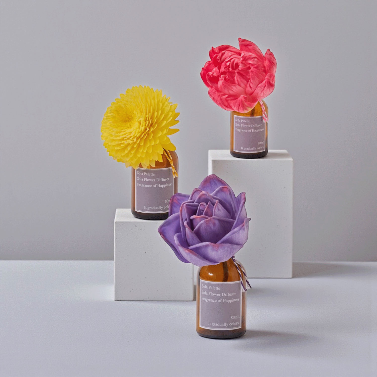 Sola Palette  ソラフラワーディフューザー - 画像1