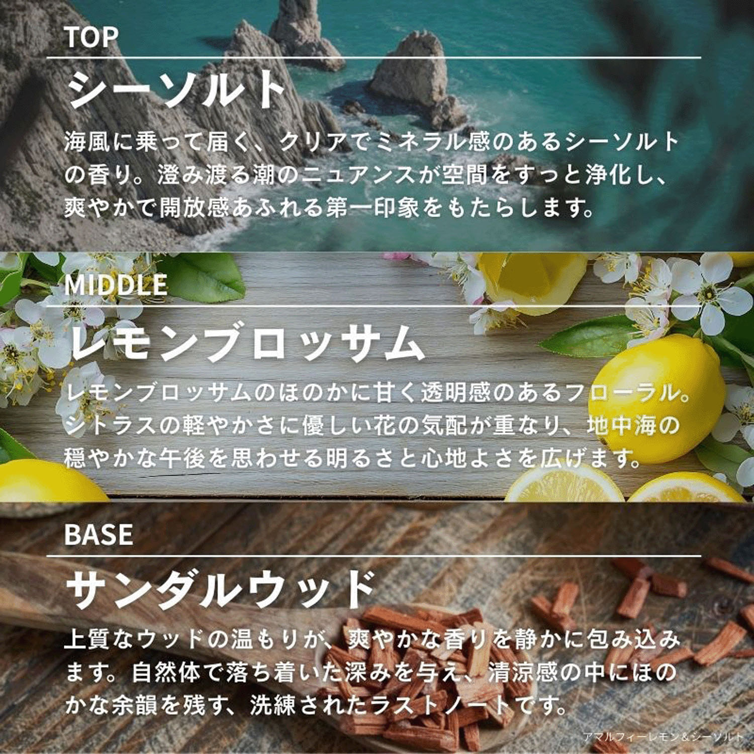 ASHLEIGH＆BURWOOD ディフューザー 150ml - 画像17