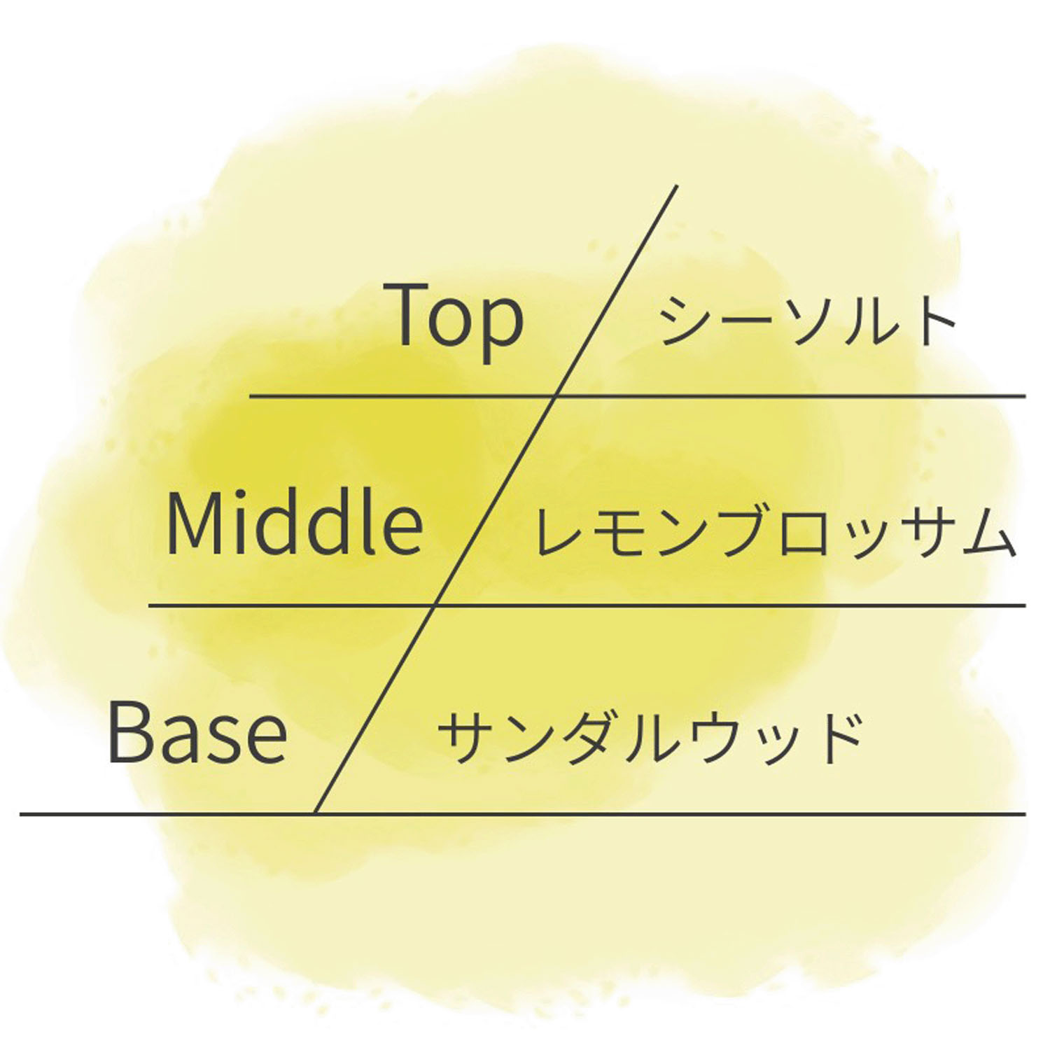 ASHLEIGH＆BURWOOD ルームスプレー - 画像13