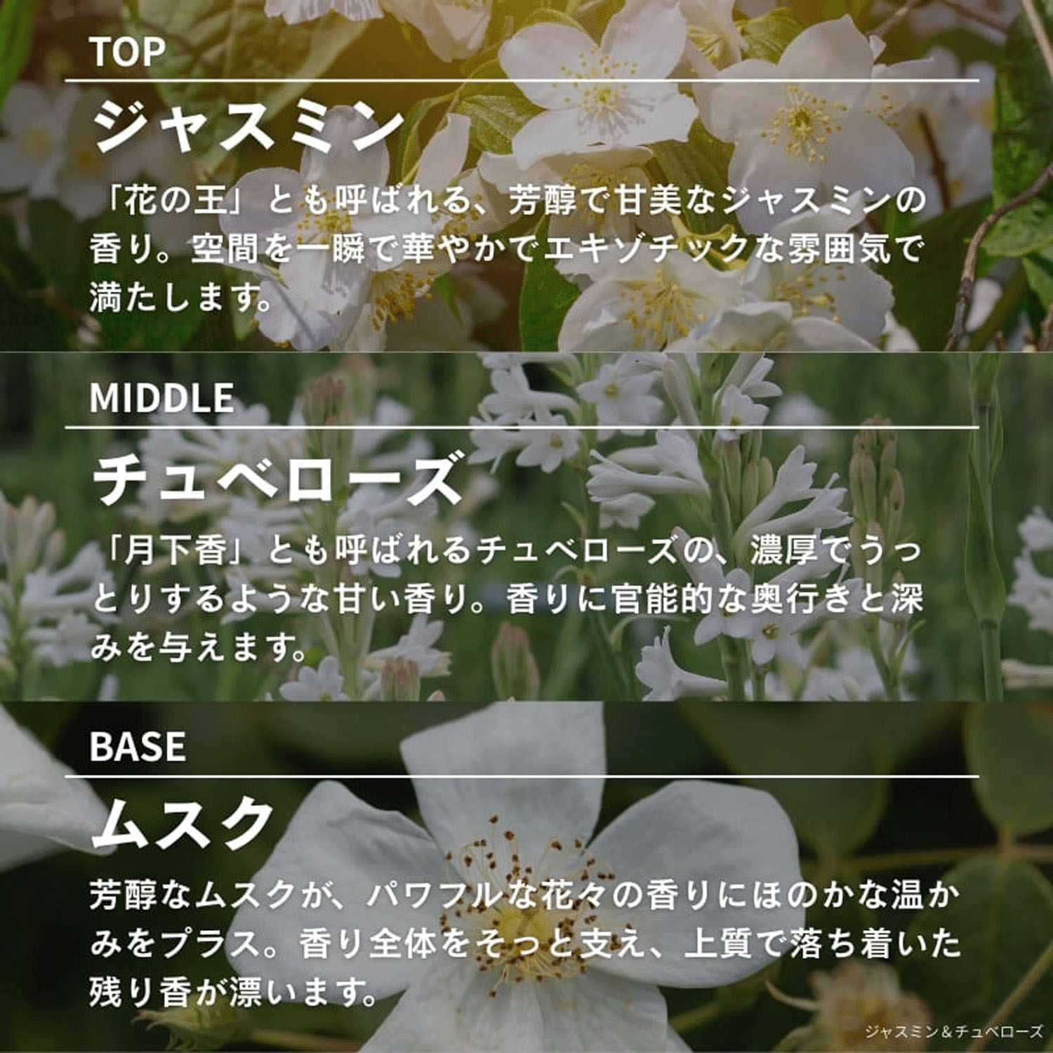 ASHLEIGH＆BURWOOD ルームスプレー - 画像5