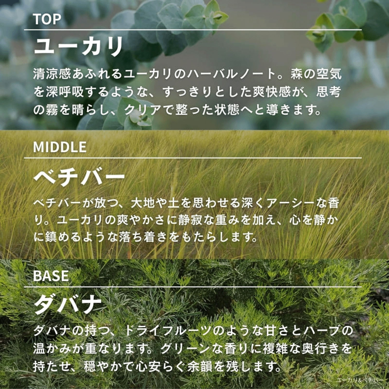 ASHLEIGH＆BURWOOD サシェ - 画像17