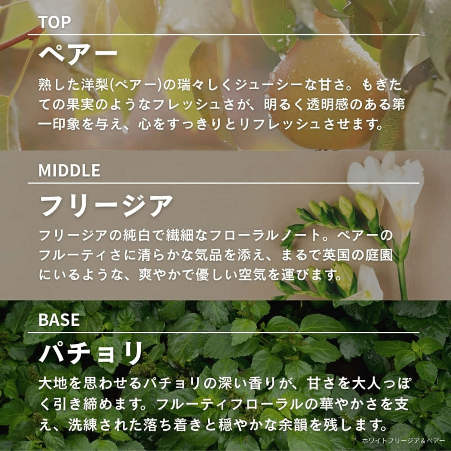 ASHLEIGH＆BURWOOD サシェ - 画像8