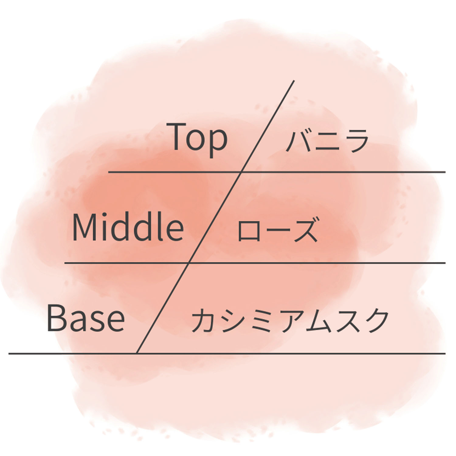 ASHLEIGH＆BURWOOD サシェ - 画像10