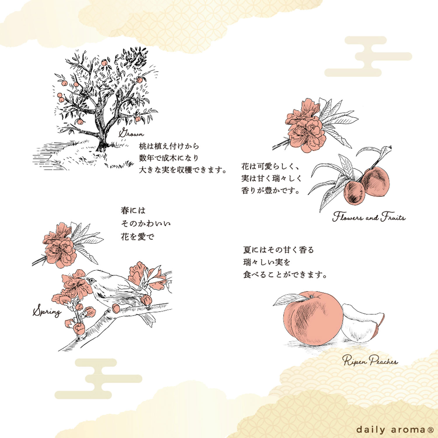 【予約可能品】桃リードディフューザー - 画像5