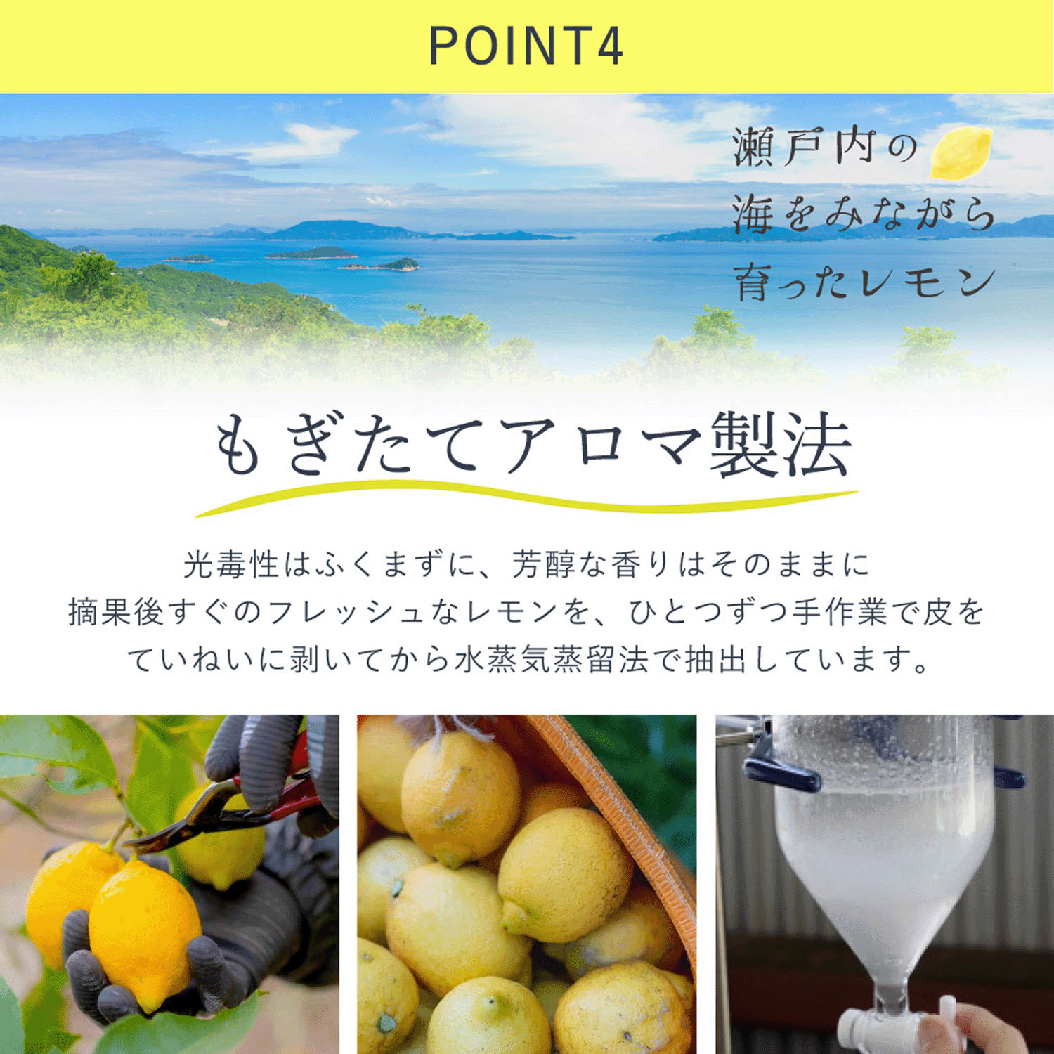 瀬戸内レモン 消臭リードディフューザー - 画像5