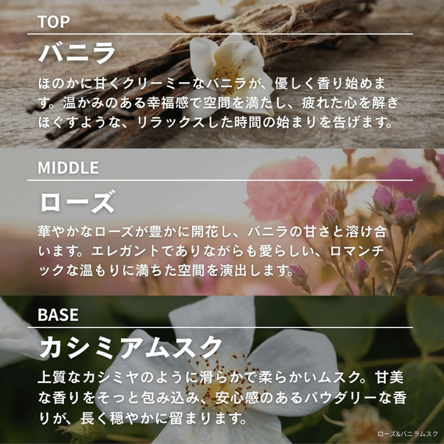 【テスター付】ASHLEIGH＆BURWOODリードディフューザー150ml - 画像13