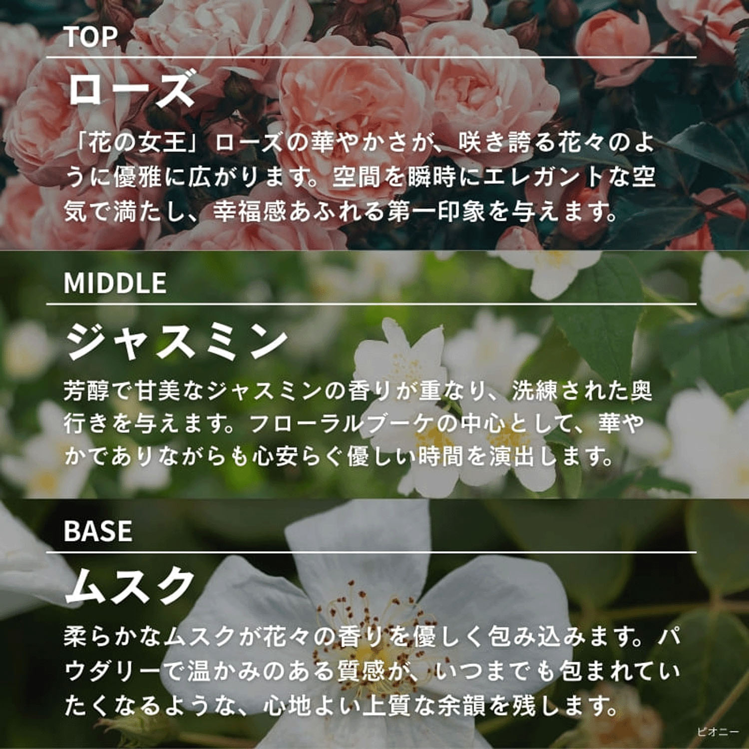 【テスター付】ASHLEIGH＆BURWOODリードディフューザー150ml - 画像33