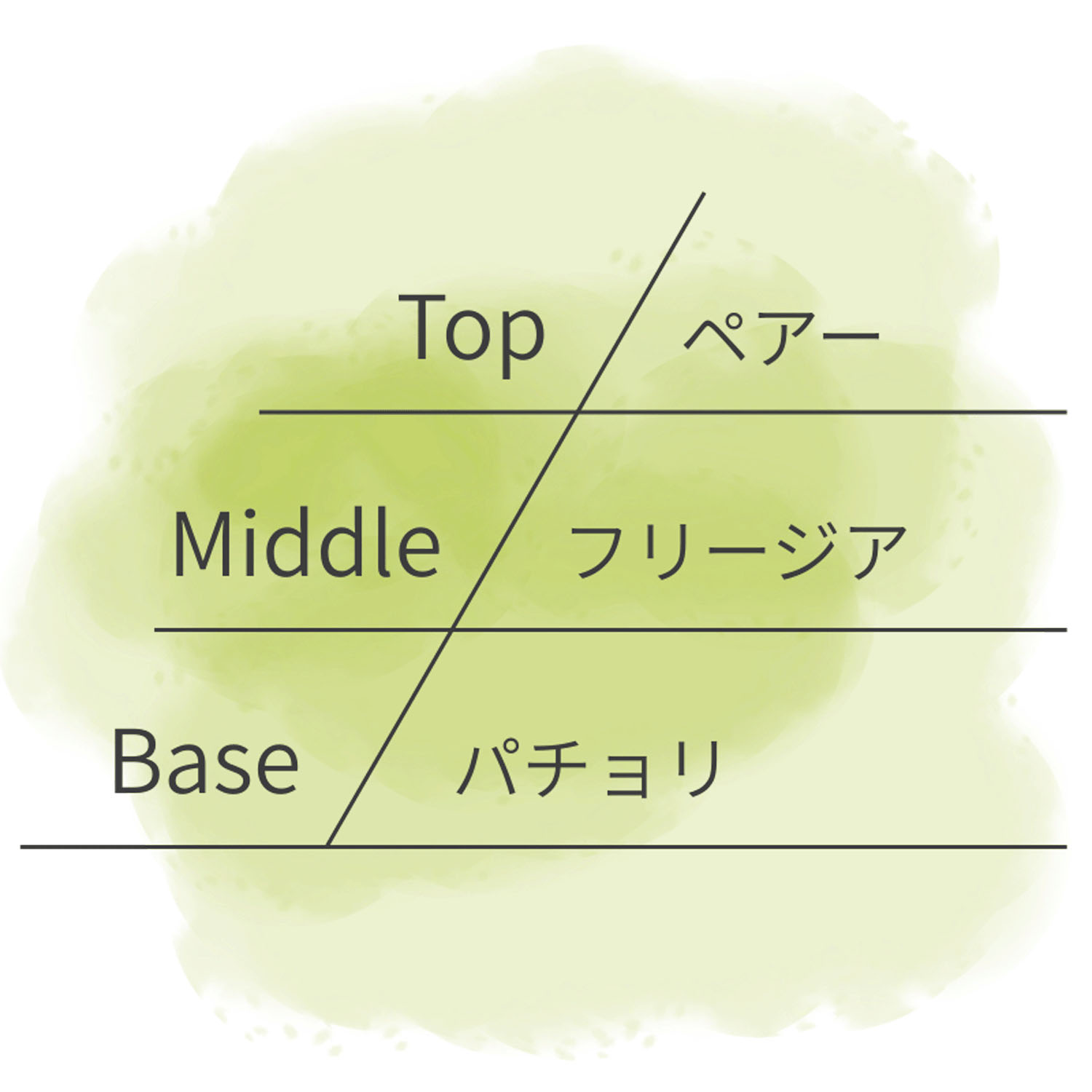 【テスター付】ASHLEIGH＆BURWOODリードディフューザー150ml - 画像8