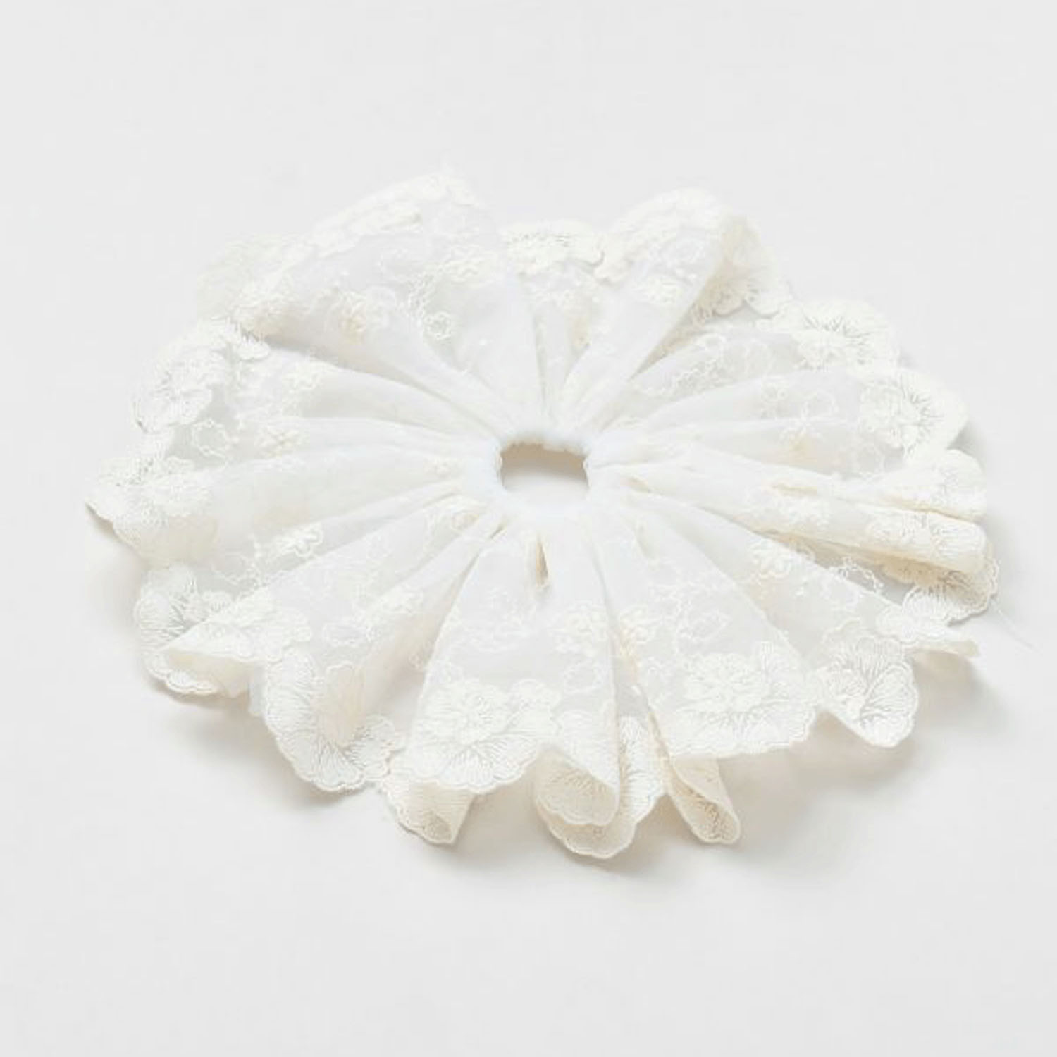 レースシュシュ - 画像14