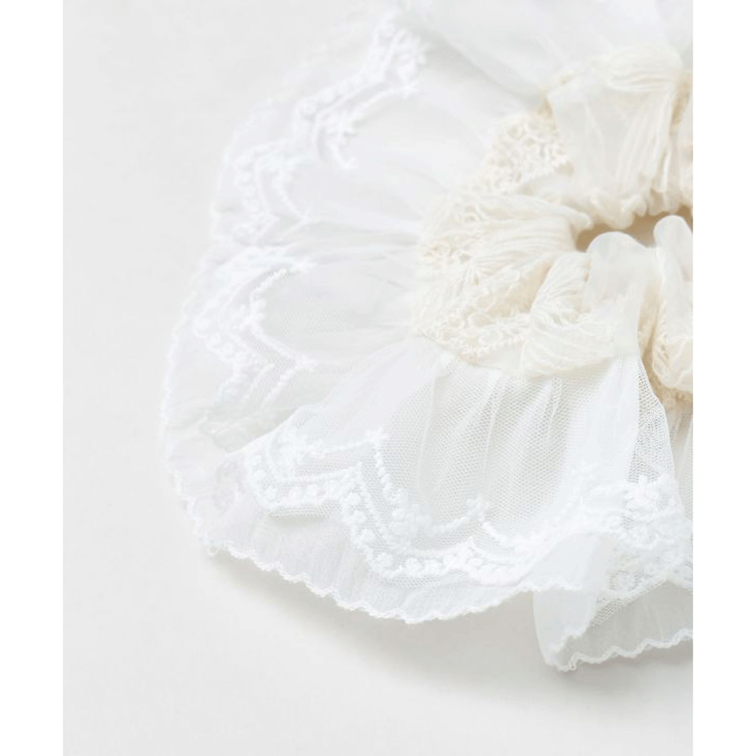 レースシュシュ - 画像20