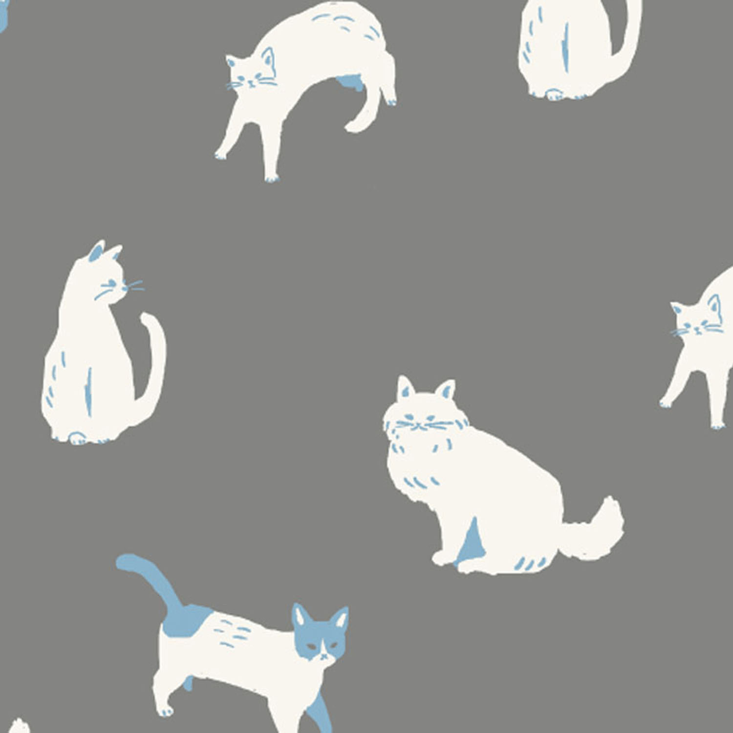 ステテコ キャットポー