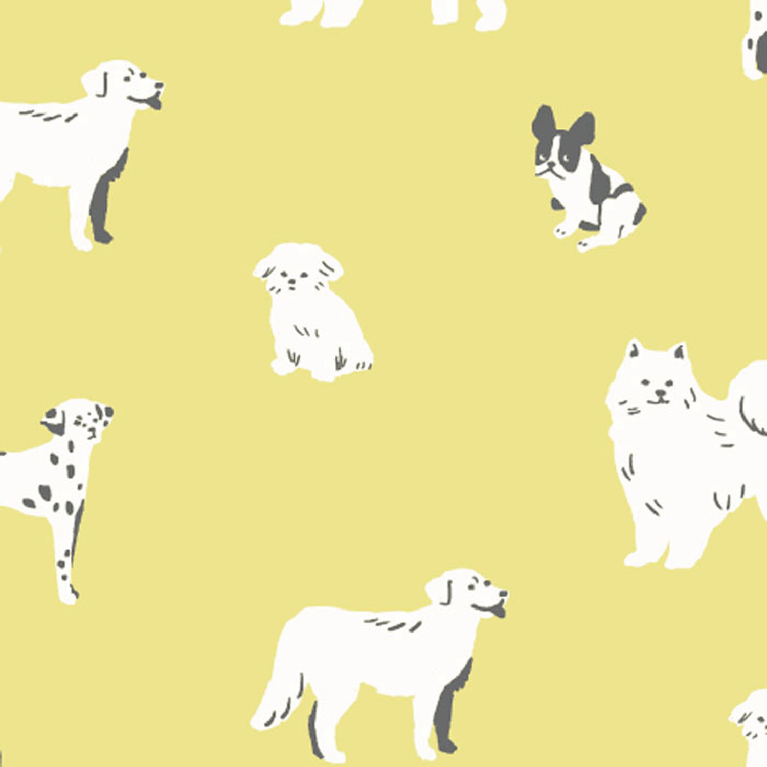 ステテコ ドッグテール