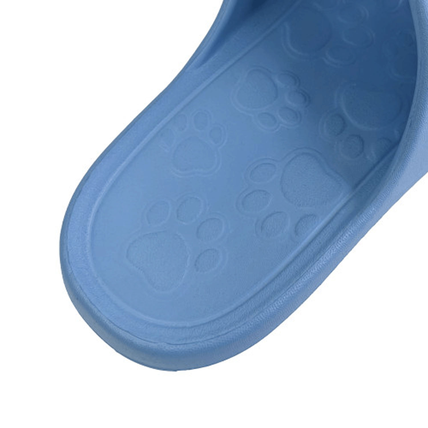 サンダル パウロ - 画像14