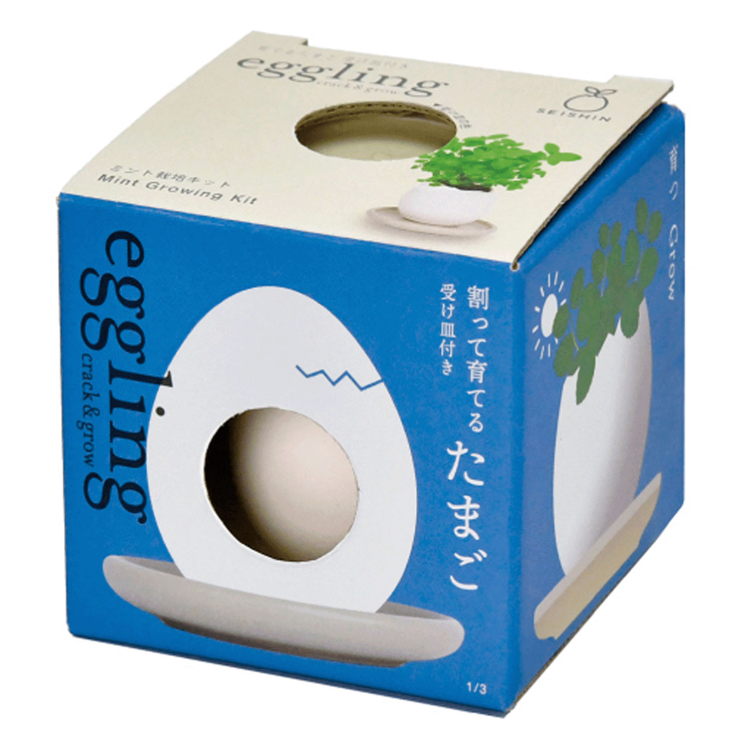 栽培 エッグリング＆ソーサー - 画像5