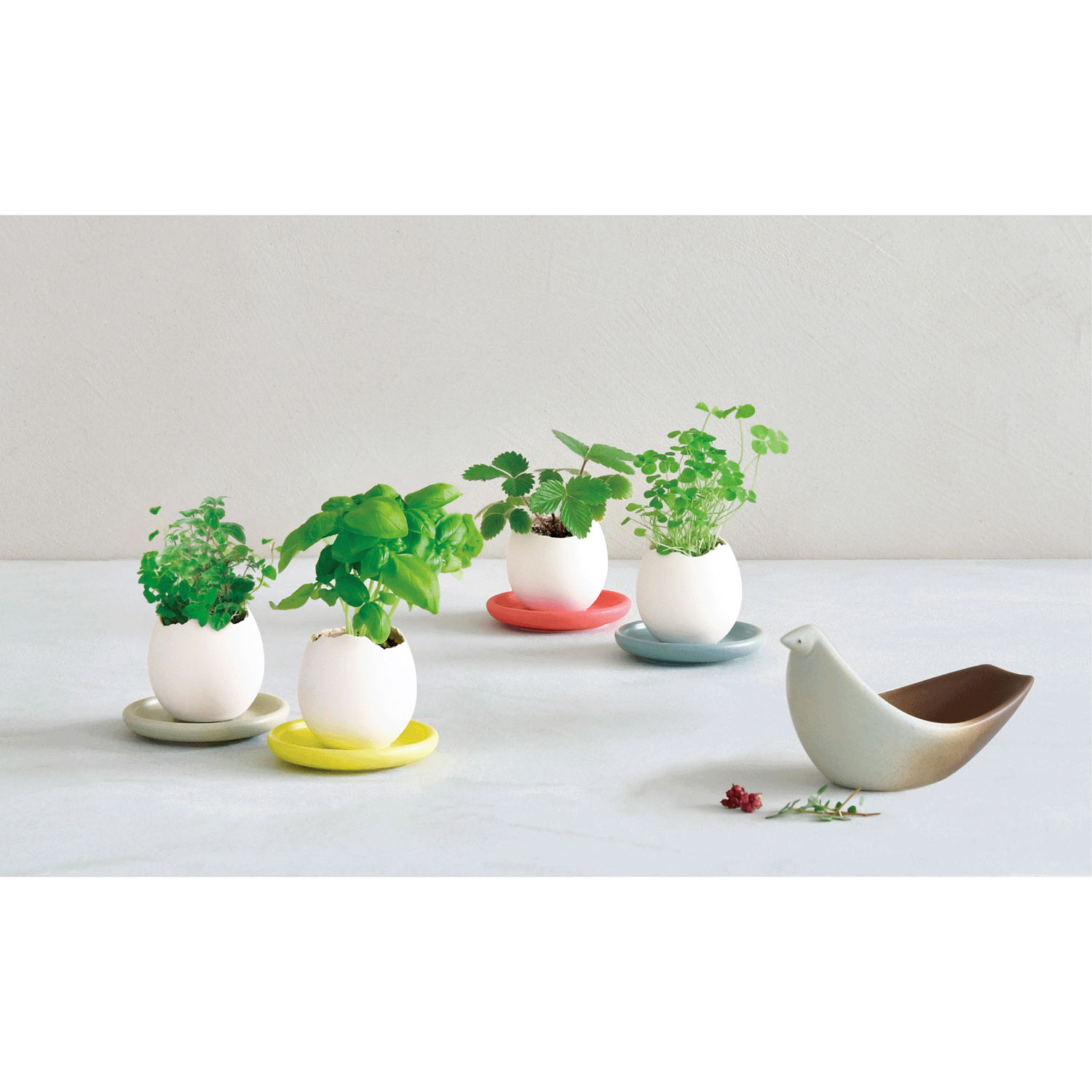 栽培 エッグリング＆ソーサー