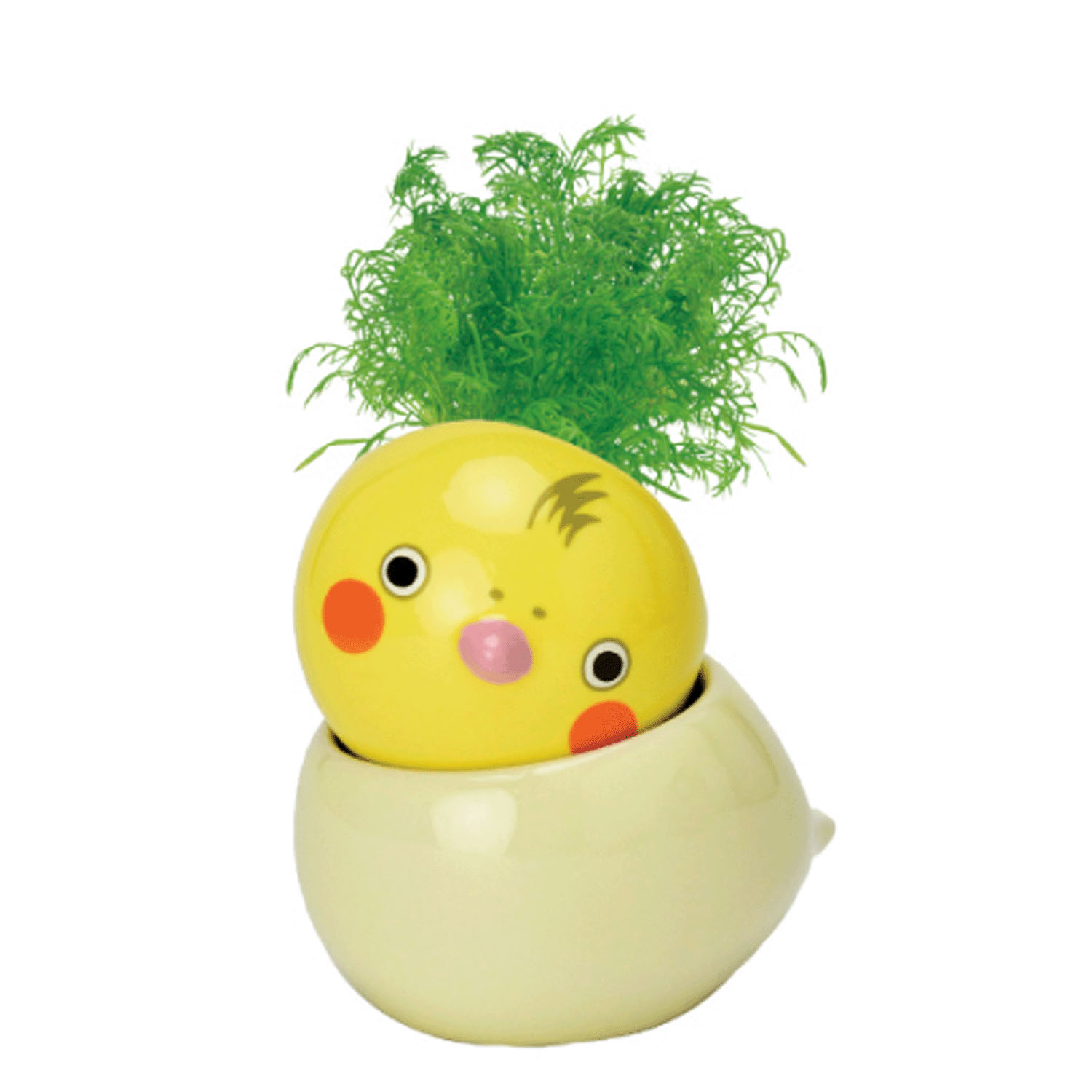 栽培セット コロコロバード - 画像10