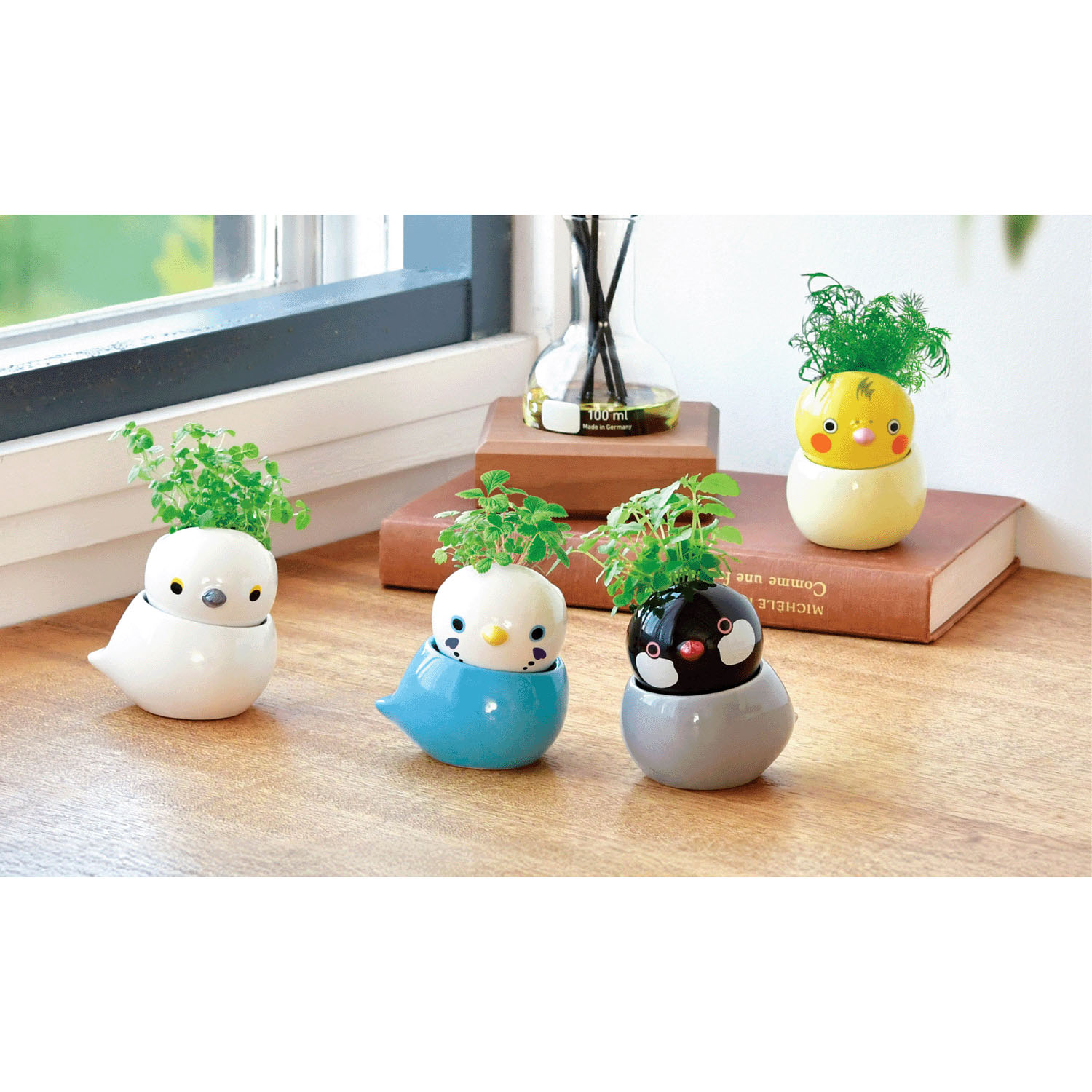 栽培セット コロコロバード