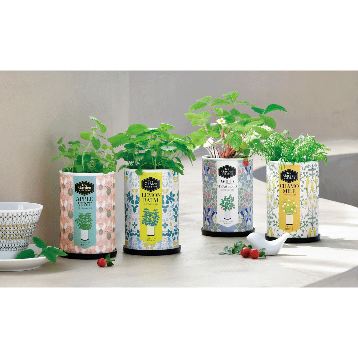 栽培セット ティーガーデン