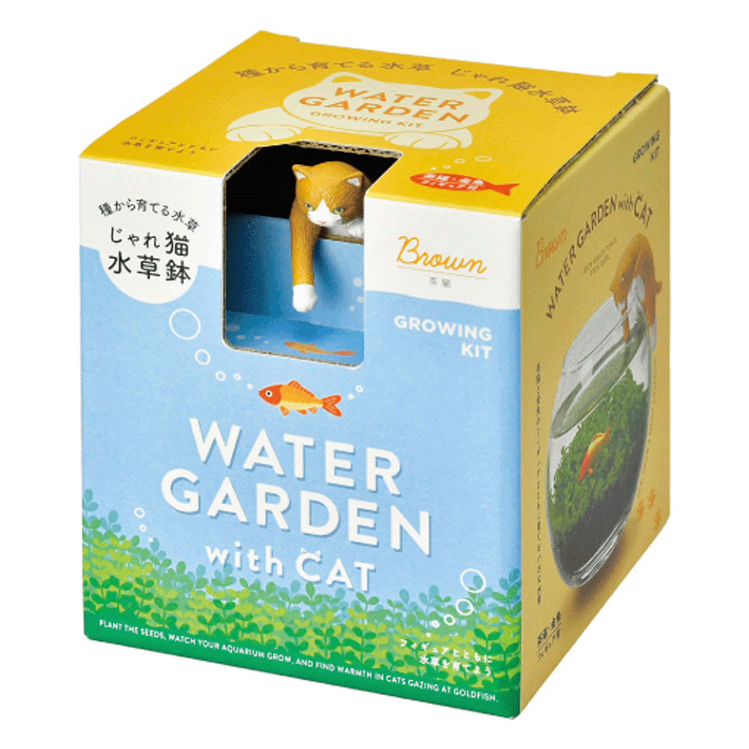 栽培セット じゃれ猫水草鉢 - 画像3