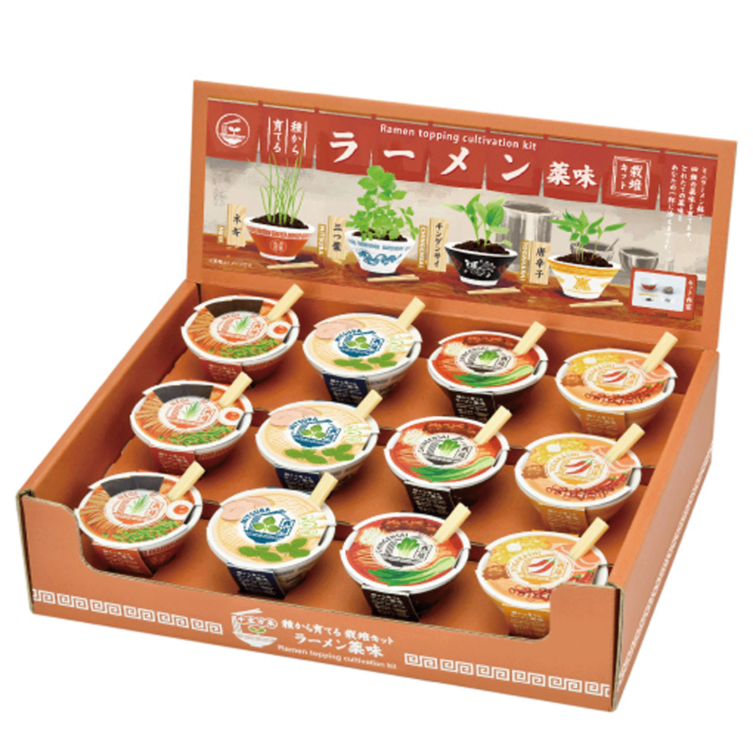 ラーメン薬味栽培キット【次の入荷予定は7月頃】 - 画像2