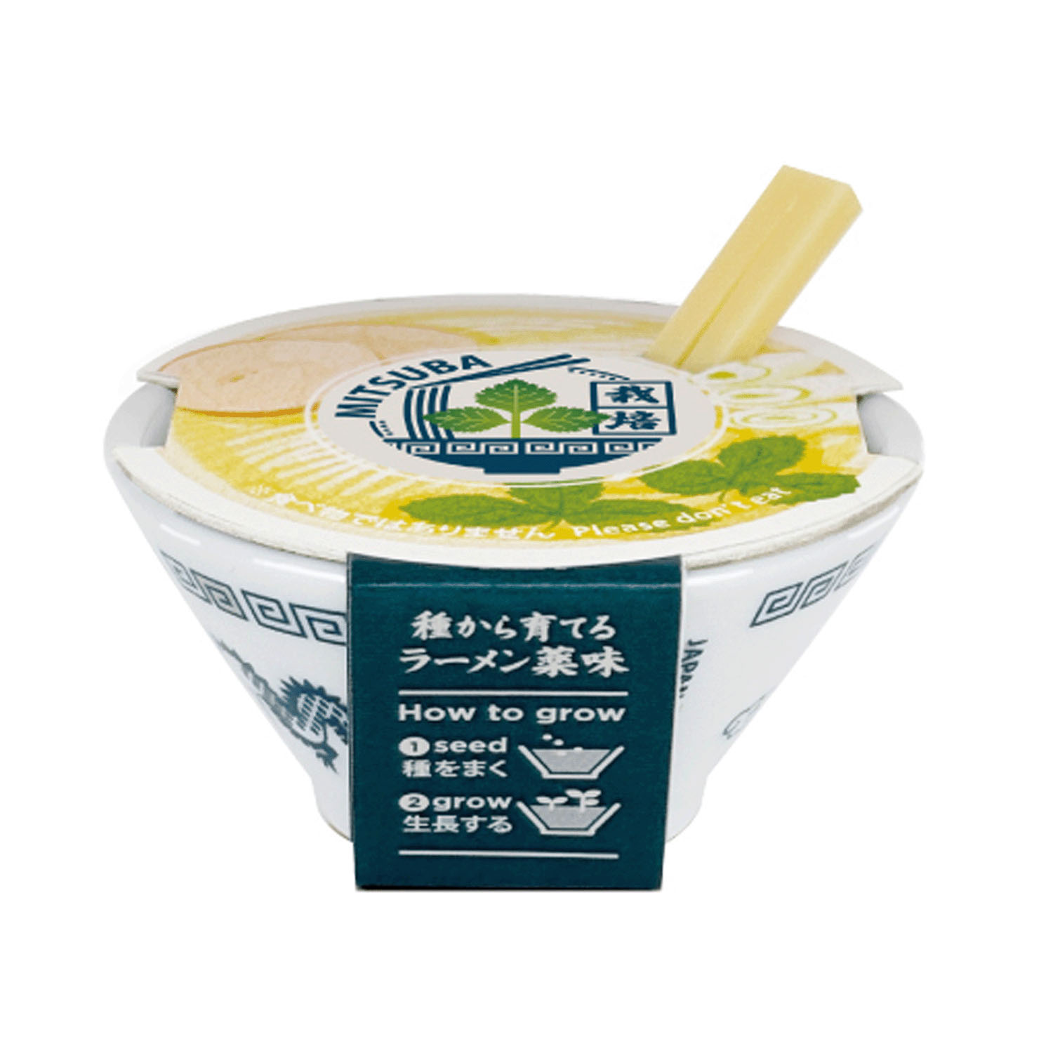 ラーメン薬味栽培キット【次の入荷予定は7月頃】 - 画像6