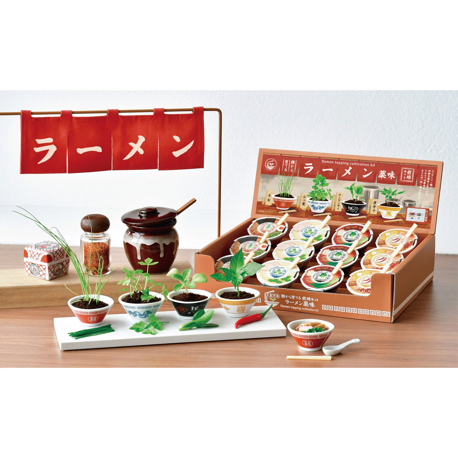 ラーメン薬味栽培キット【次の入荷予定は7月頃】