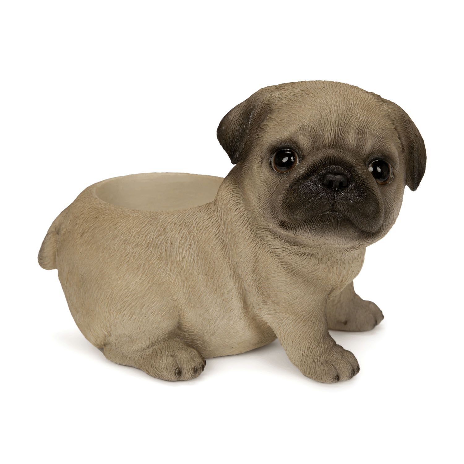 お座りプランターシリーズ  子犬・子猫 - 画像17