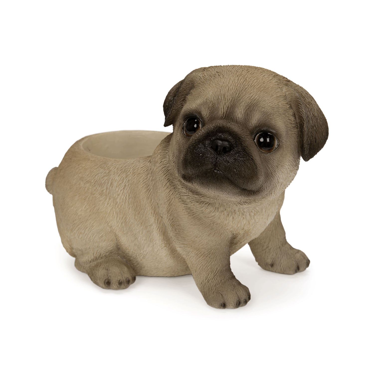 お座りプランターシリーズ  子犬・子猫 - 画像18