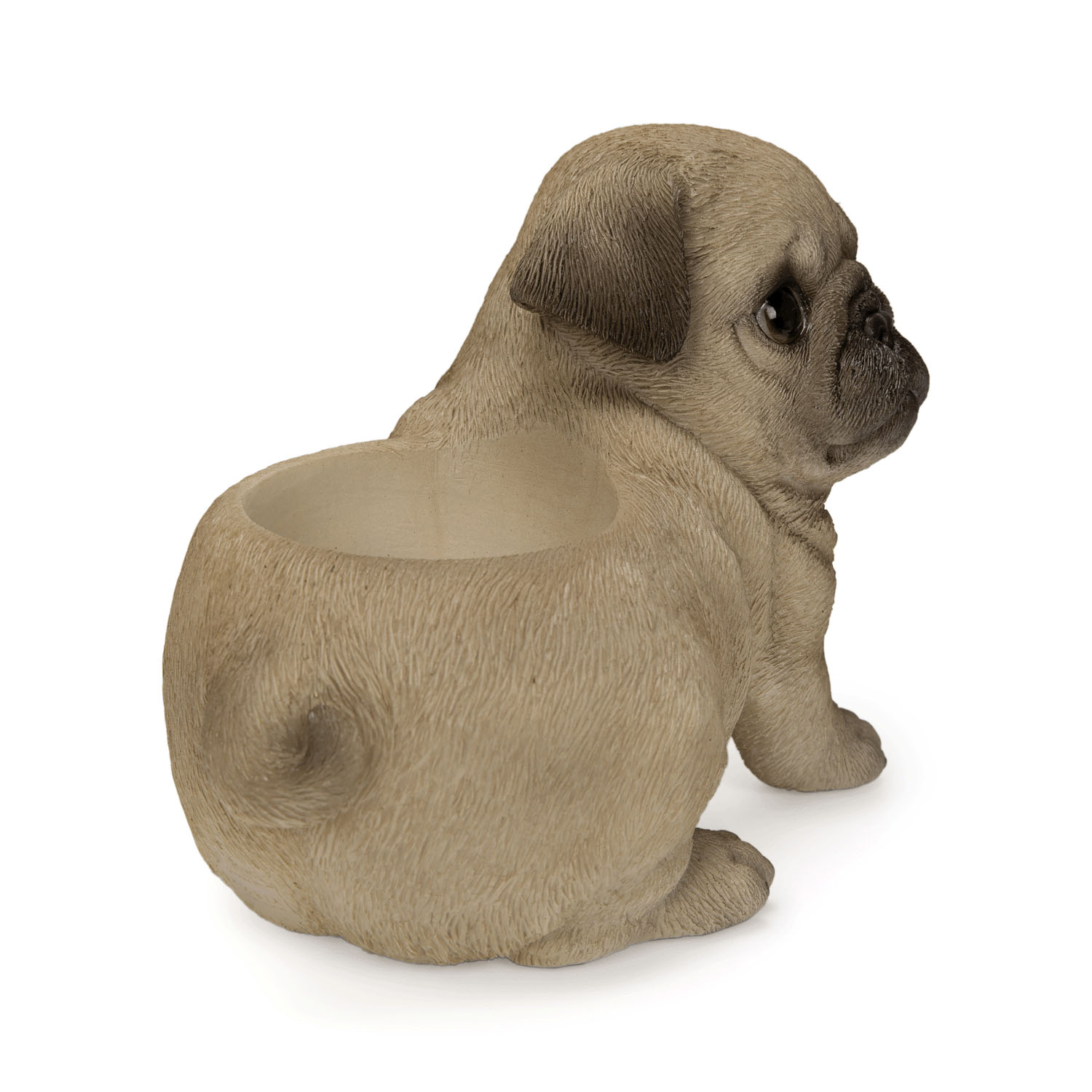 お座りプランターシリーズ  子犬・子猫 - 画像21