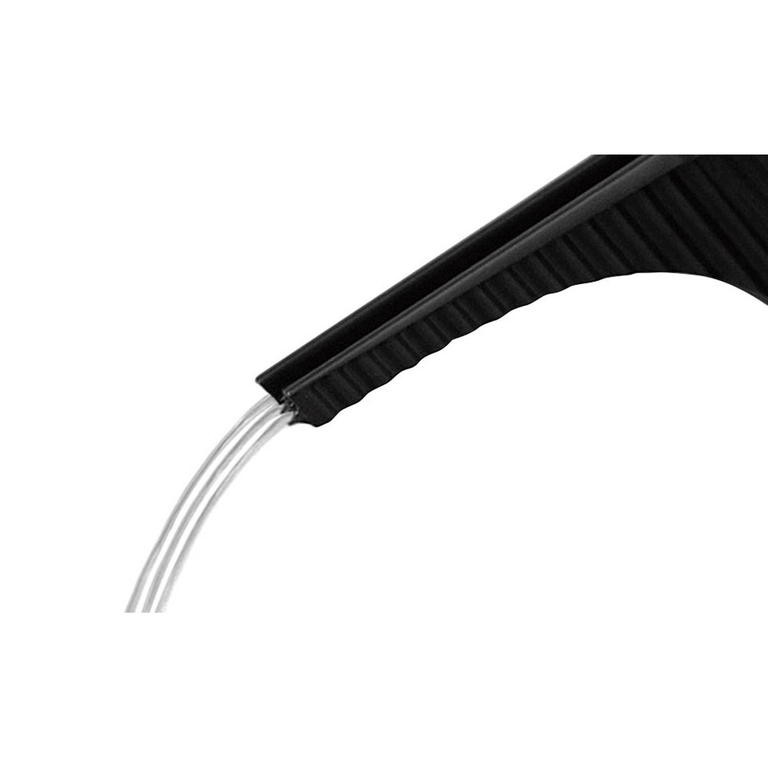 ガーデンビートル - 画像4