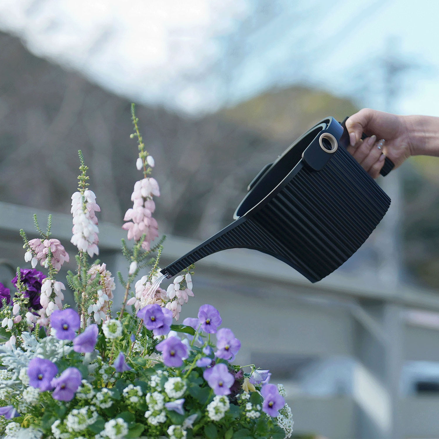 ガーデンビートル