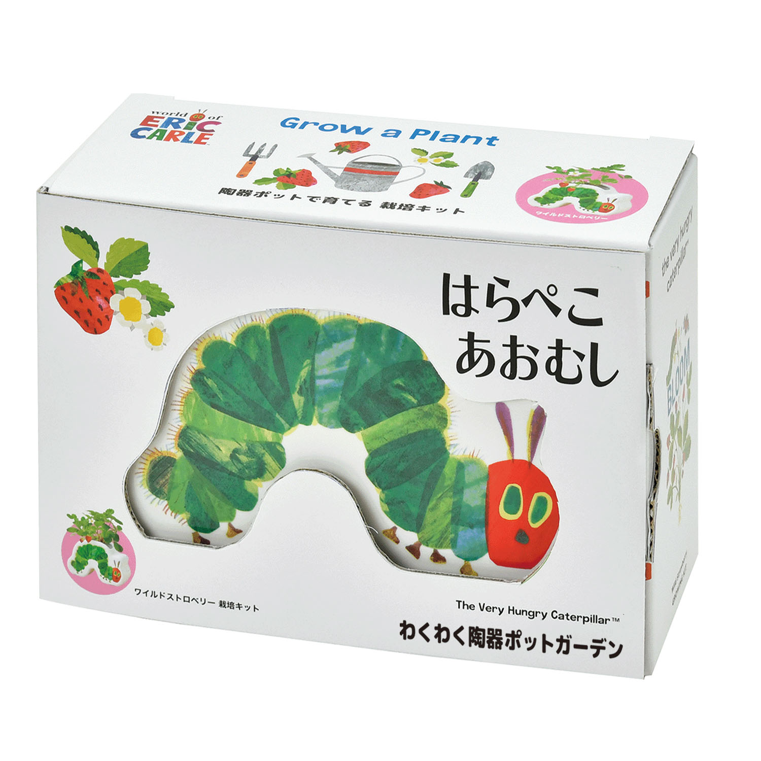 栽培セット はらぺこあおむし わくわく陶器ポットガーデン - 画像4